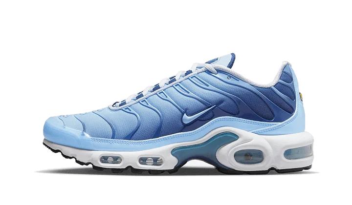 Nike Air Max Plus Celestine Blue